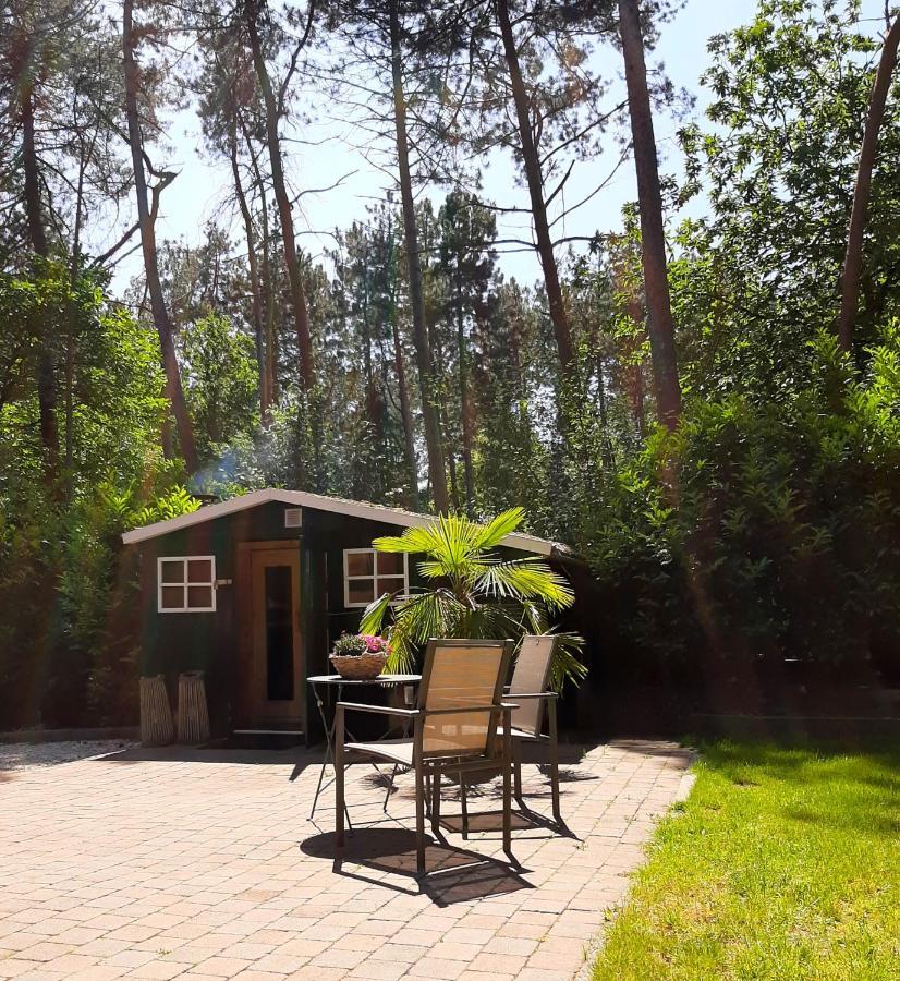 Villa Secret Wellness Boszicht Holten Esterno foto