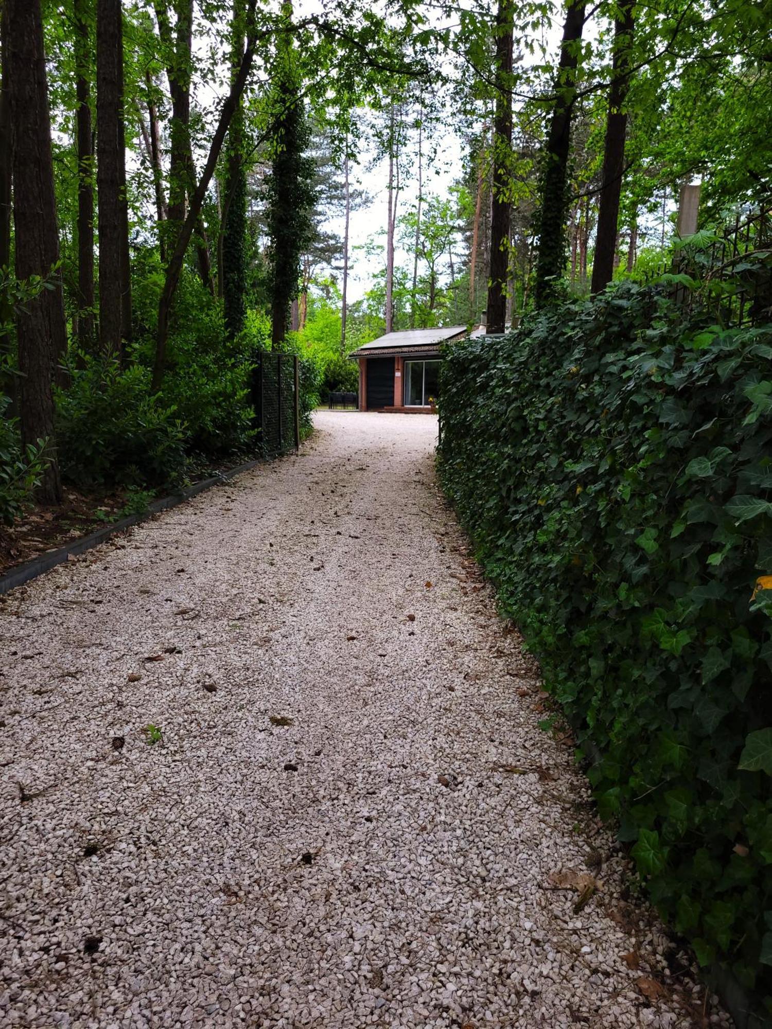 Villa Secret Wellness Boszicht Holten Esterno foto